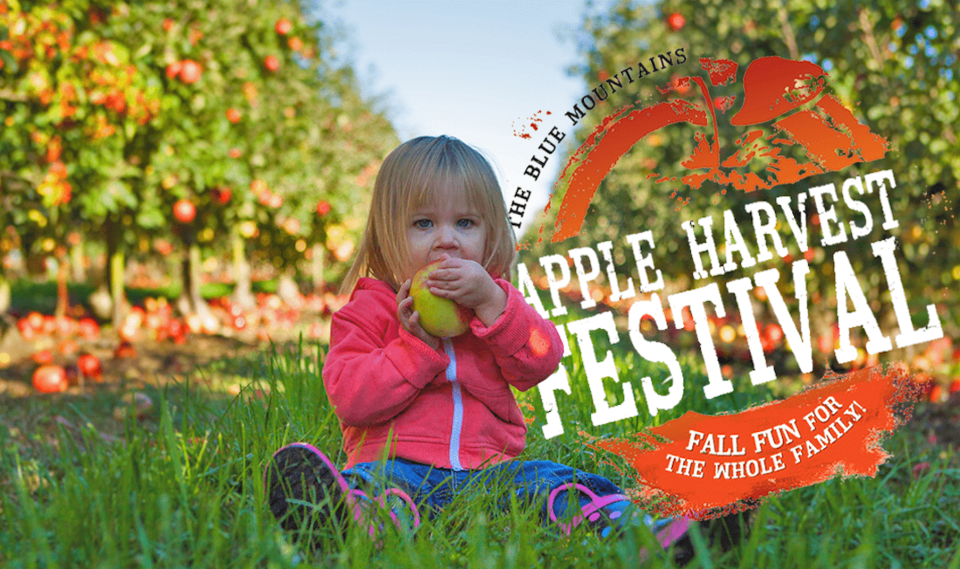 Apple Harvest Festival offers 'ultimate Thanksgiving experience